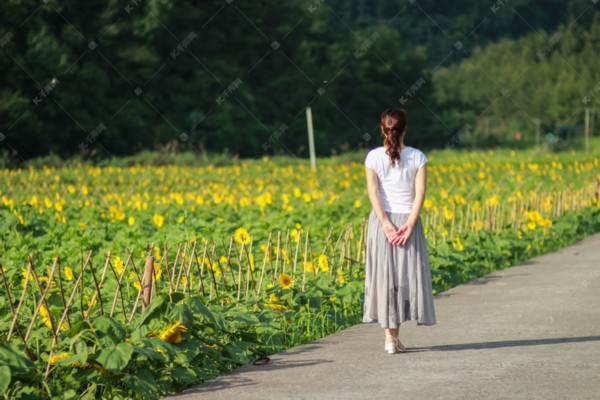 “武汉钓鱼品茗,悠然养生两不误” “武汉钓鱼品茗,悠然养生两不误”